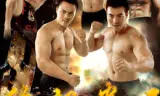 终极拳王