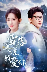 雪落再说我爱你