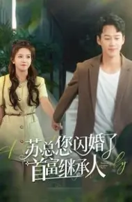 苏总您闪婚了首富继承人