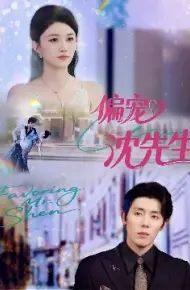 偏宠沈先生