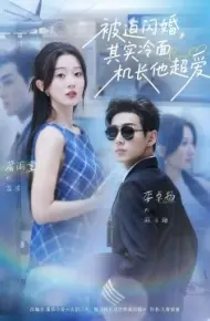 被迫闪婚，其实冷面机长他超爱