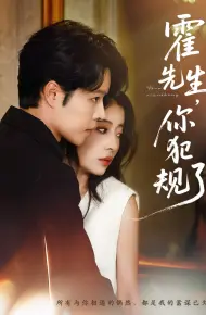 霍先生你犯规了