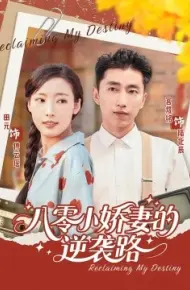 八零小娇妻的逆袭路