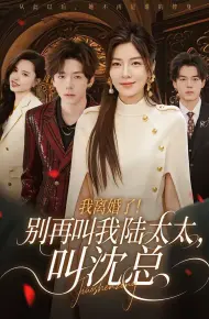 我离婚了!别再叫我陆太太,叫沈总