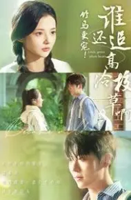 竹马更宠谁还追高冷校草啊