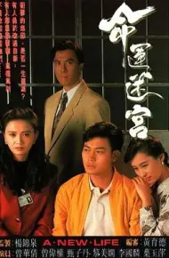 命运迷宫普通话版