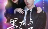 黑龙与恶凤