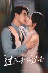 我用血肉去爱你
