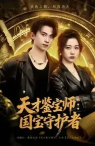 天才鉴宝师:国宝守护者