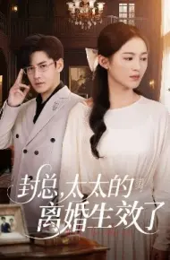 封总,太太的离婚生效了
