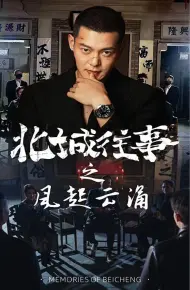 北城往事之风起云涌