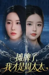 摊牌了，我才是周太太