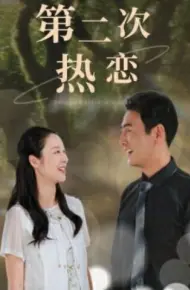 第二次热恋
