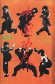 中国功夫