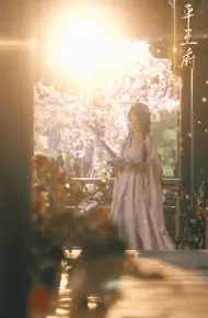 为婢女明月传