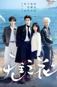 无主之花1