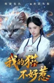 我的猫不好惹