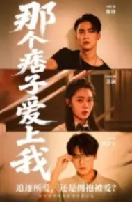 那个痞子爱上我
