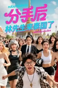 分手后林先生来泰国了