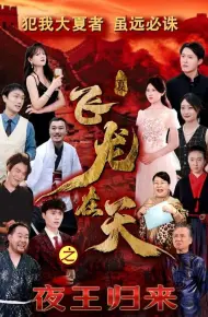 飞龙在天之夜王归来