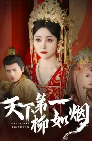 天下第一柳如烟
