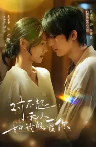 对不起，无人如我般爱你