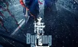 迷雾追踪