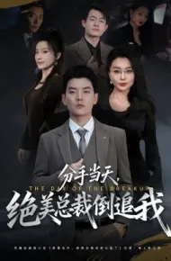 分手当天，绝美总裁倒追我