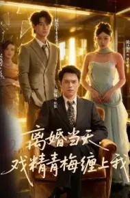 离婚当天，戏精青梅缠上我