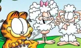 加菲猫和他的朋友们第一季