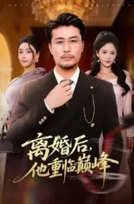 离婚后,他重临巅峰