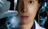 科搜研之女第12季
