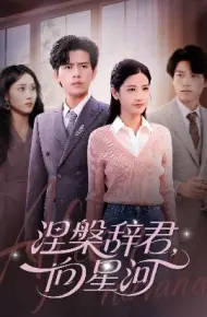涅槃辞君，向星河