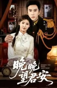 晚晚望君安
