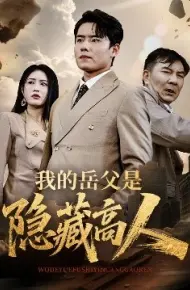 我的岳父是隐藏高人