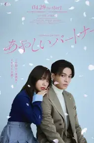 奇怪的搭档