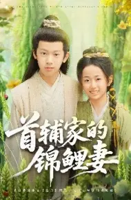 首辅家的锦鲤妻