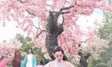 妖凤云城
