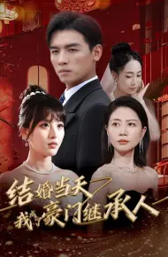 结婚当天我成了豪门继承人