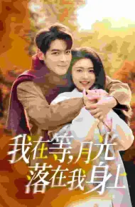 我在等月光落在我身上