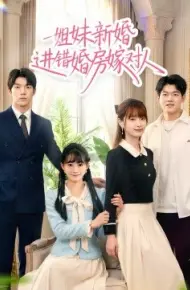 姐妹新婚进错婚房嫁对人