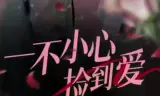 一不小心捡到爱