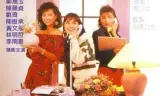 窈窕淑女国语1998