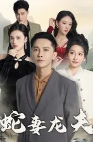蛇妻龙夫