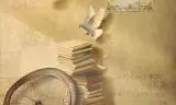 老舅