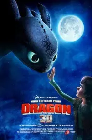 驯龙高手