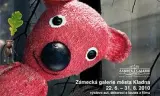 玩具熊回家路