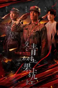 冬青树上果犹红