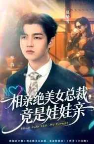 相亲绝美女总裁,竟是娃娃亲
