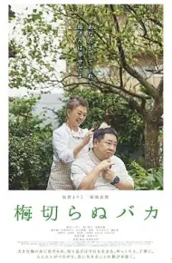 不砍梅树的傻瓜
